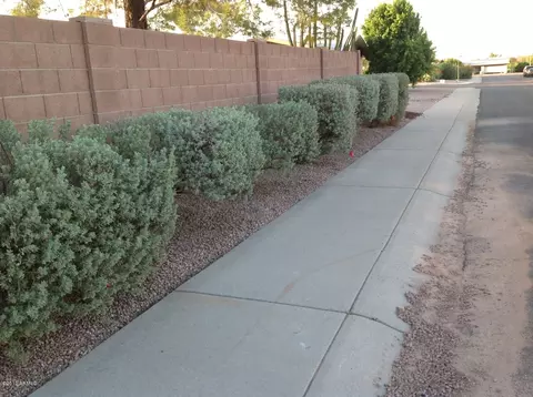 6551 E Dallas St, Mesa, AZ 85205 photo 5
