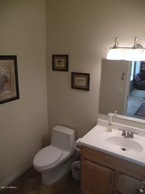 3747 E Oasis Cir, Mesa, AZ 85215 photo 22