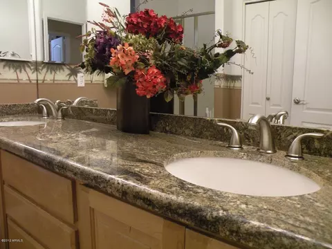 3747 E Oasis Cir, Mesa, AZ 85215 photo 19