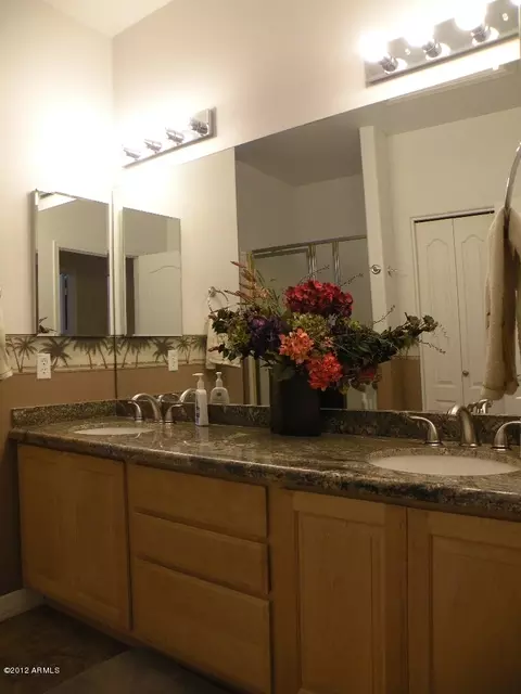 3747 E Oasis Cir, Mesa, AZ 85215 photo 18