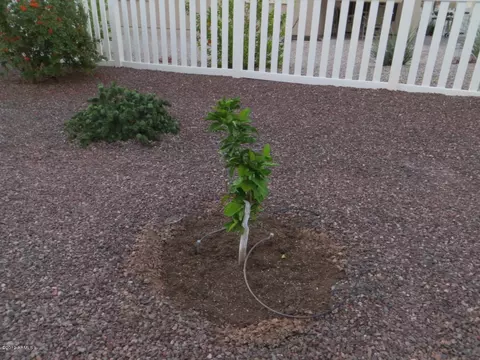 2101 S Meridian Rd #276, Apache Junction, AZ 85120 photo 20