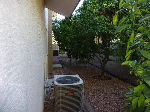 517 E Meadows Ln, Gilbert, AZ 85234 photo 21
