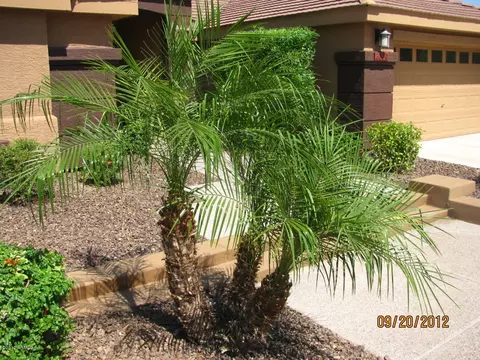 3330 E Behrend Dr, Phoenix, AZ 85050 photo 24
