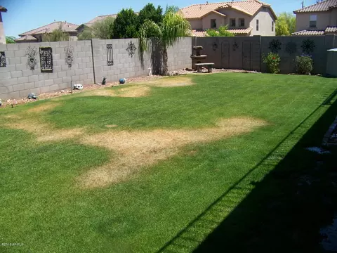 526 E Milada Dr, Phoenix, AZ 85042 photo 21