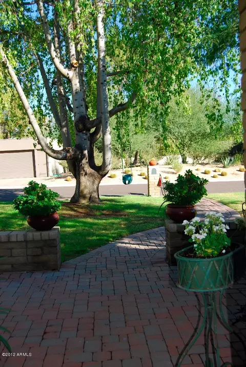 5202 N 34th Pl, Phoenix, AZ 85018 photo 19