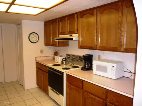 3345 E University Dr #69, Mesa, AZ 85213 photo 10