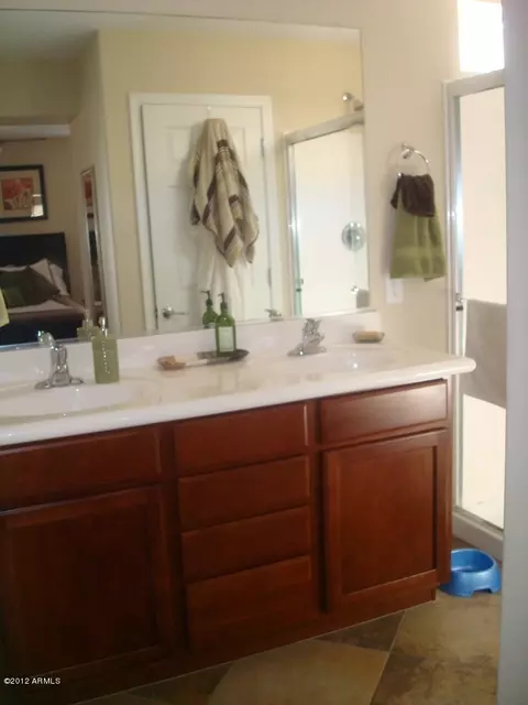 3972 E Cat Balue Dr, Phoenix, AZ 85050 photo 14