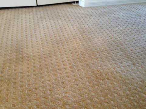 3150 E Beardsley Rd #1046, Phoenix, AZ 85050 photo 9