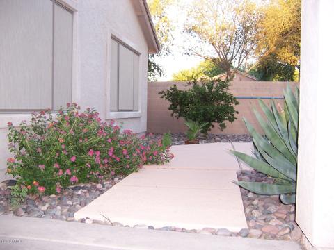 1165 E Stottler Dr, Gilbert, AZ 85296 photo 76