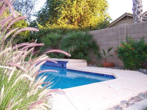1165 E Stottler Dr, Gilbert, AZ 85296 photo 71