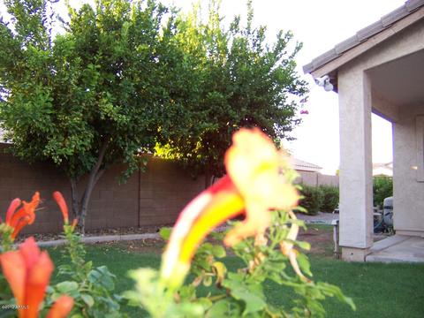 1165 E Stottler Dr, Gilbert, AZ 85296 photo 69