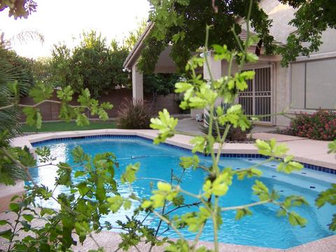 1165 E Stottler Dr, Gilbert, AZ 85296 photo 75