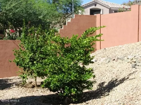 16429 S 3rd St, Phoenix, AZ 85048 photo 41