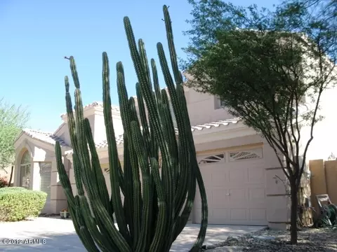 16429 S 3rd St, Phoenix, AZ 85048 photo 47