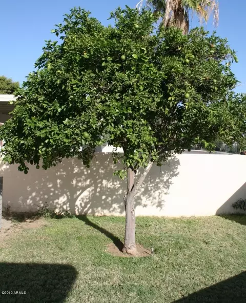10412 W Devonshire Ave, Phoenix, AZ 85037 photo 8