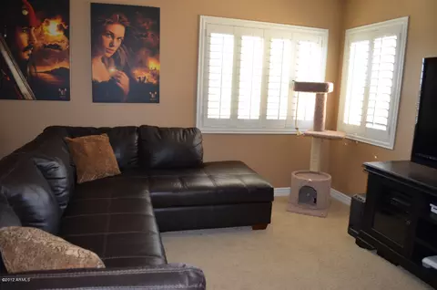 11247 E Savannah Ave, Mesa, AZ 85212 photo 17