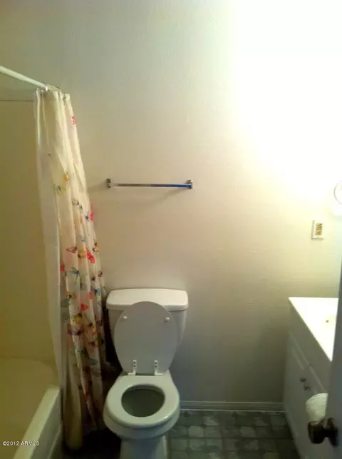 1547 E 26th Ave, Apache Junction, AZ 85119 photo 5