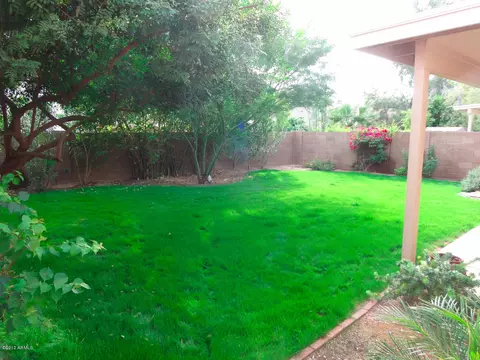 1925 E Aire Libre Ave, Phoenix, AZ 85022 photo 31