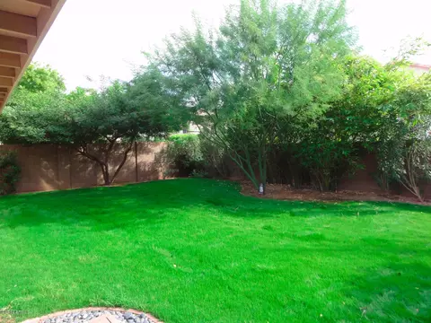 1925 E Aire Libre Ave, Phoenix, AZ 85022 photo 34