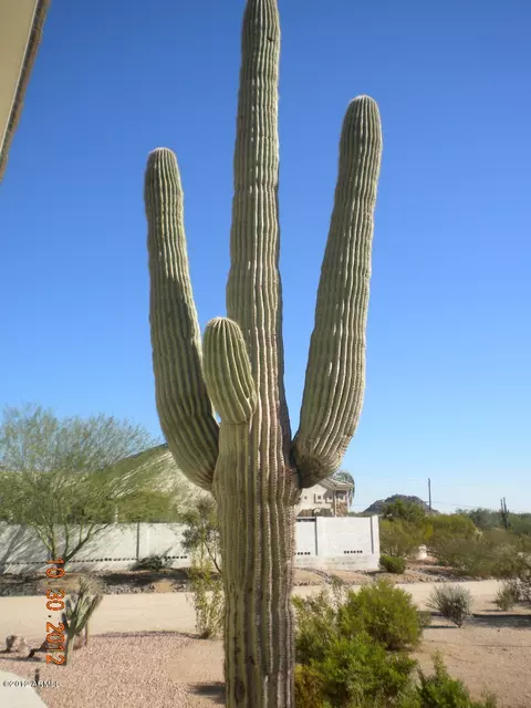 8332 E Quill St, Mesa, AZ 85207 photo 5