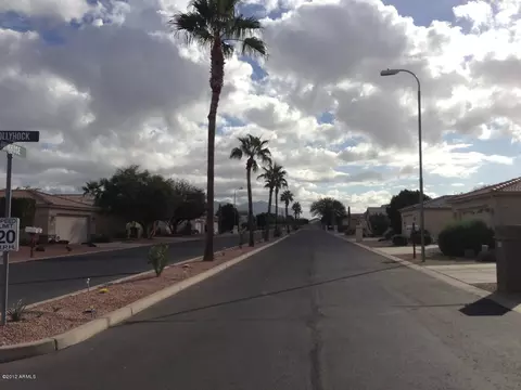 2101 S Meridian Rd #318, Apache Junction, AZ 85120 photo 17