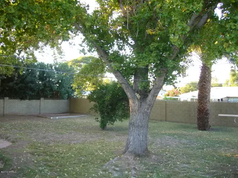 4646 E Cambridge Ave, Phoenix, AZ 85008 photo 7