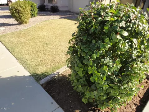 3327 E Woodside Way, Gilbert, AZ 85297 photo 21