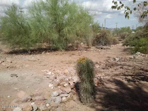 5655 E Forest St, Apache Junction, AZ 85119 photo 16