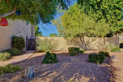 1334 E Harrison St, Gilbert, AZ 85295 photo 14