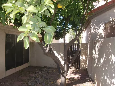 1545 E Laurel Ave, Gilbert, AZ 85234 photo 5