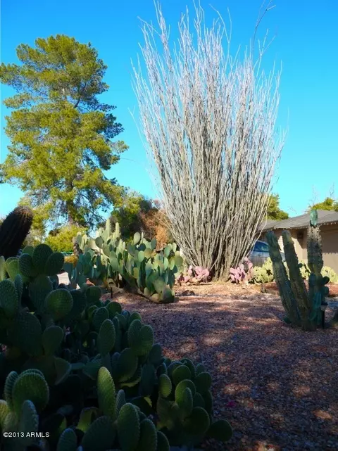 3907 S River Dr, Tempe, AZ 85282 photo 3