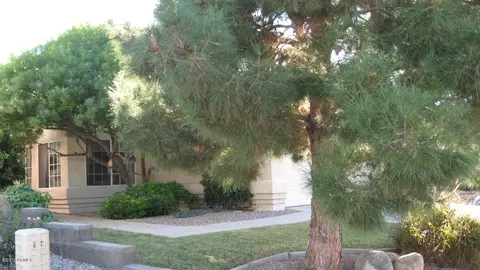 351 W Bruce Ave, Gilbert, AZ 85233 photo 5