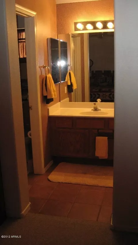 351 W Bruce Ave, Gilbert, AZ 85233 photo 17