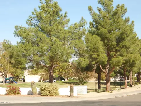 1007 N Quartz St, Gilbert, AZ 85234 photo 38