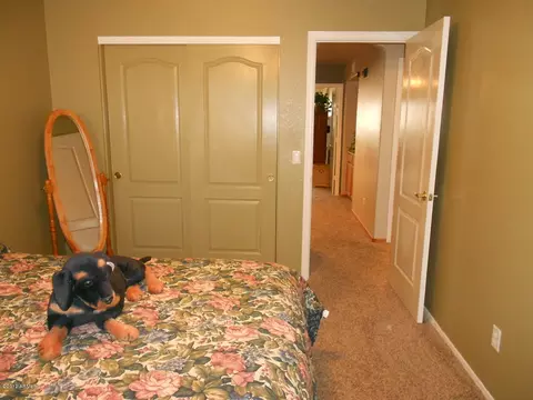 1007 N Quartz St, Gilbert, AZ 85234 photo 27