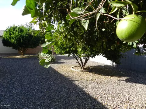 5142 Elena Ave, Mesa, AZ 85206 photo 17