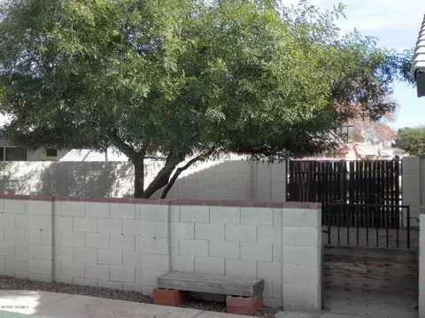 202 S Bronco Ln, Gilbert, AZ 85233 photo 16