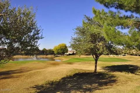 2226 S Duval --, Mesa, AZ 85209 photo 46