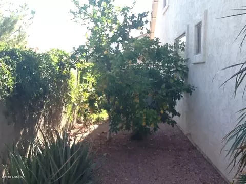 1850 Ellis St, Phoenix, AZ 85042 photo 12