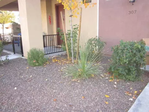 307 W Herro Ln, Phoenix, AZ 85013 photo 29