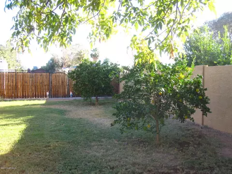 211 E Desert Ln, Gilbert, AZ 85234 photo 28