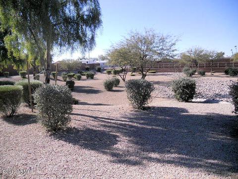 9833 El Moro Ave, Mesa, AZ 85208 photo 17