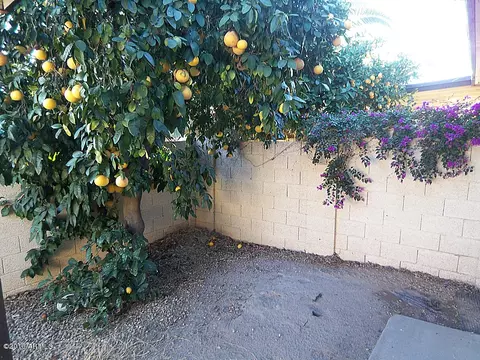 2529 E Wagoner Rd, Phoenix, AZ 85032 photo 15