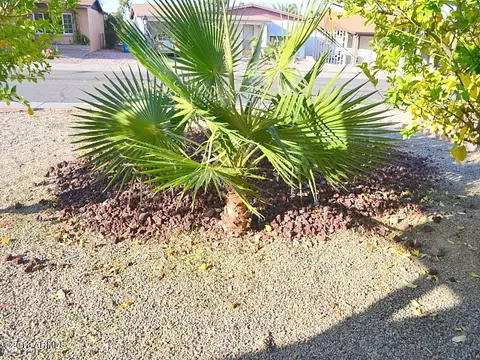 2125 E Gretta Pl, Phoenix, AZ 85022 photo 58