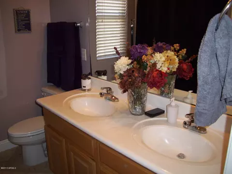 343 Elgin St, Gilbert, AZ 85295 photo 22