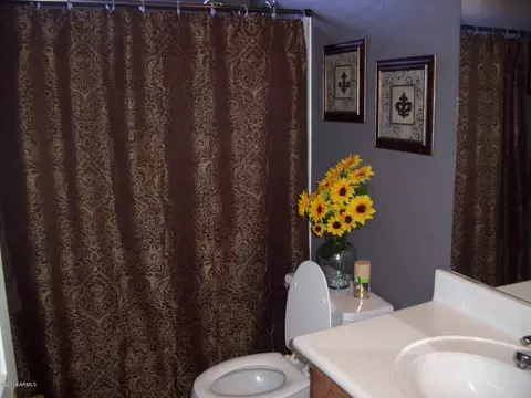 343 Elgin St, Gilbert, AZ 85295 photo 23