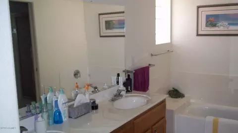 11503 E Mendoza Ave, Mesa, AZ 85209 photo 14