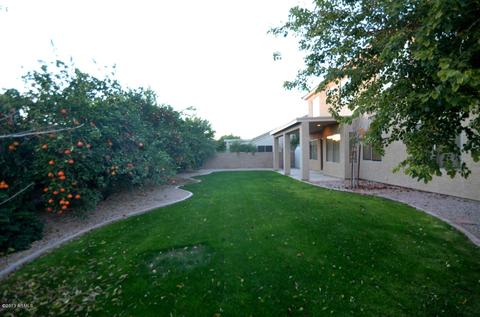 239 W Desert Ave, Gilbert, AZ 85233 photo 32
