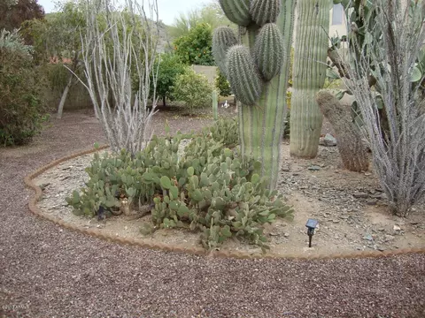 4306 E Rockledge Cir, Phoenix, AZ 85044 photo 29
