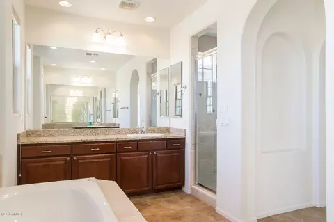 3928 E Crest Ln, Phoenix, AZ 85050 photo 9